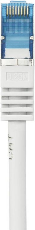 Produktbild: Renkforce RF-4145277 RJ45 Patchkabel CAT 6a S/FTP 0.25 m Grau mit Rastnasenschutz, Flammwidrig 1 St.