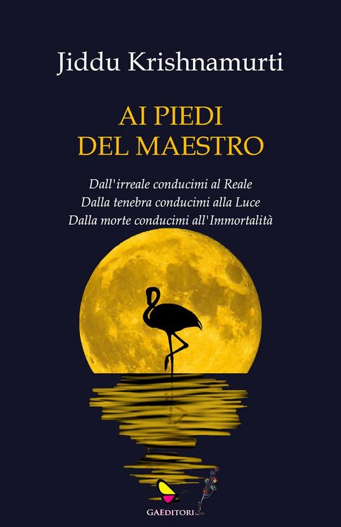Produktbild: Ai piedi del maestro