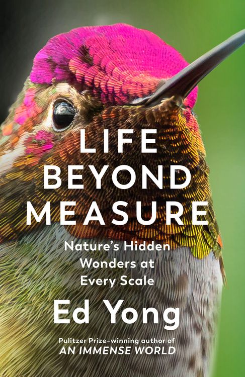 Produktbild: Life Beyond Measure