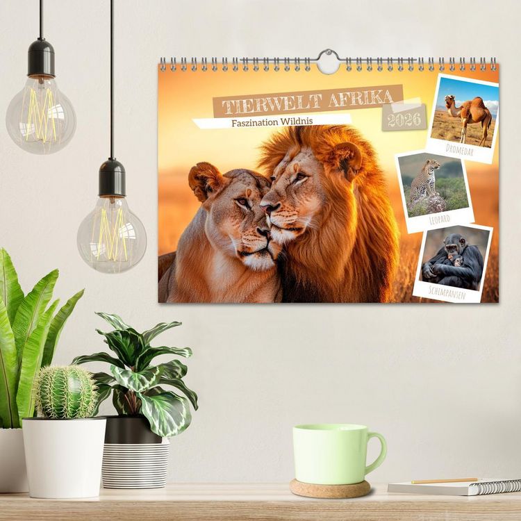 Produktbild: TIERWELT AFRIKA Faszination Wildnis (Wandkalender 2026 DIN A4 quer), CALVENDO Monatskalender