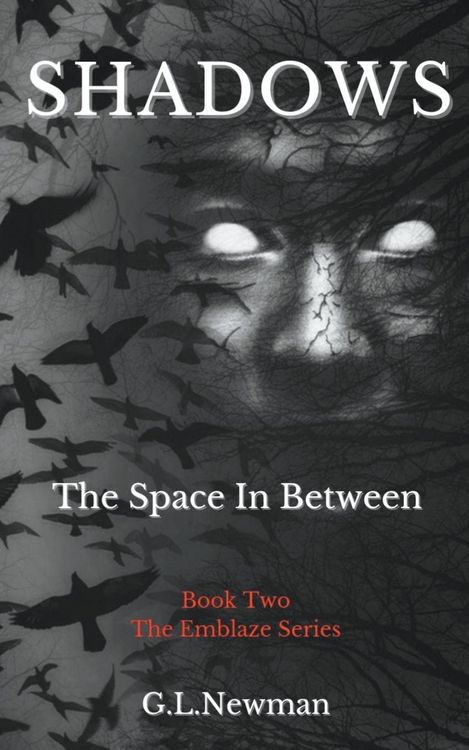 Produktbild: Shadows The Space Inbetween