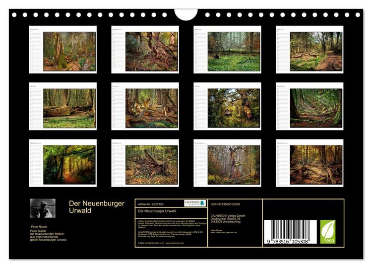 Produktbild: Der Neuenburger Urwald (Wandkalender 2026 DIN A4 quer), CALVENDO Monatskalender