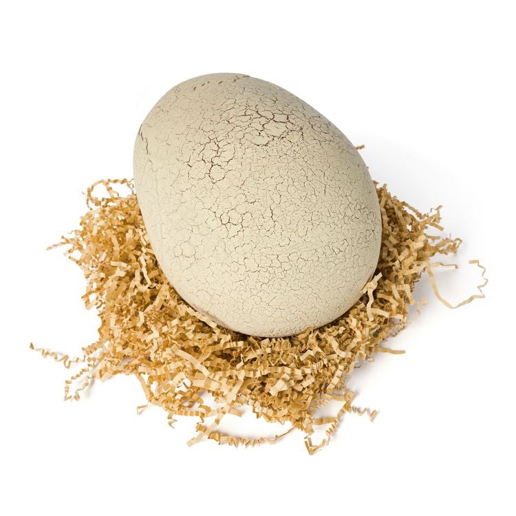 Produktbild: Primal Hatch, Jurassic World, Interaktiver T-Rex im Ei, 100+ Soundeffekte und Reaktionen