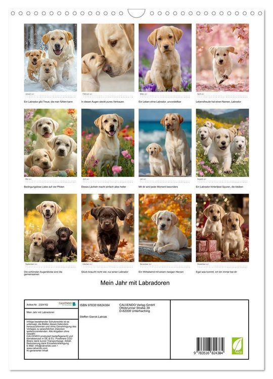 Produktbild: Mein Jahr mit Labradoren (Wandkalender 2027 DIN A3 hoch), CALVENDO Monatskalender
