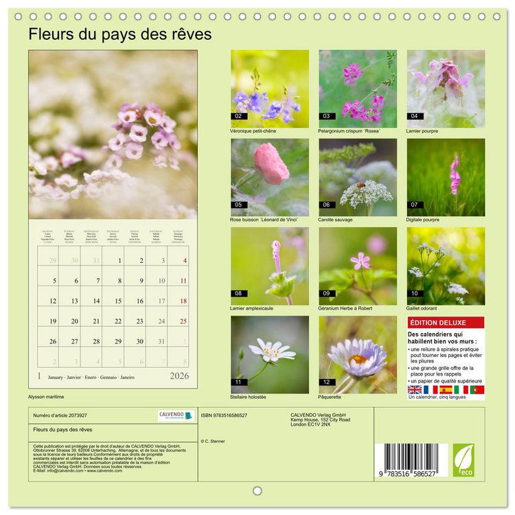 Produktbild: Fleurs du pays des r&ecirc;ves (Calendrier mural carr&eacute; 2026 30x30 cm) Calendrier double avec une page pour vos prises de notes