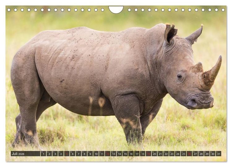 Produktbild: Kenia 2026 (Wandkalender 2026 DIN A4 quer), CALVENDO Monatskalender