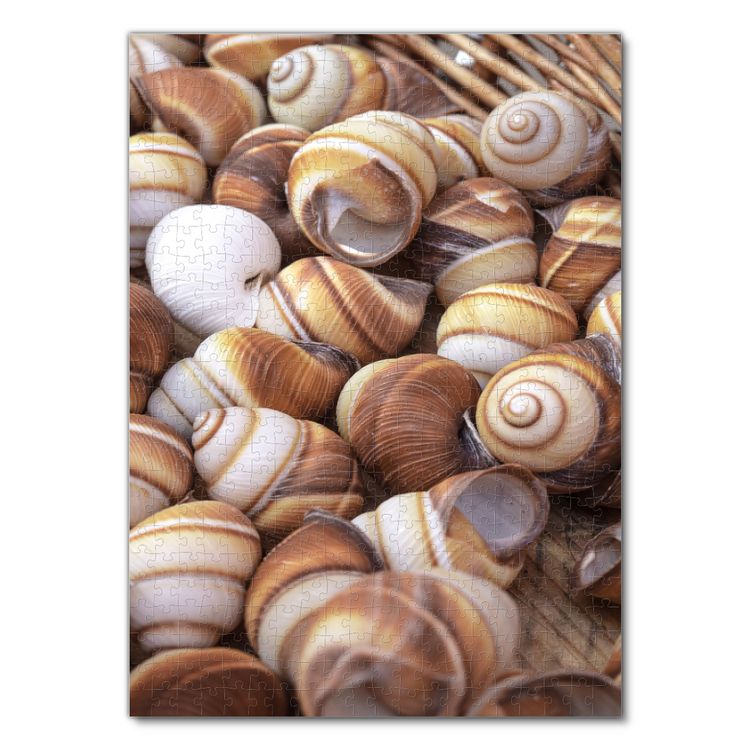 Produktbild: Lais Puzzle Schnecken 500 Teile