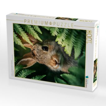 Produktbild: CALVENDO Puzzle Ein Motiv aus dem Kalender Wild und Wundervoll | 1000 Teile Lege-Gr&ouml;&szlig;e 64x48cm Foto-Puzzle f&uuml;r gl&uuml;ckliche Stunden
