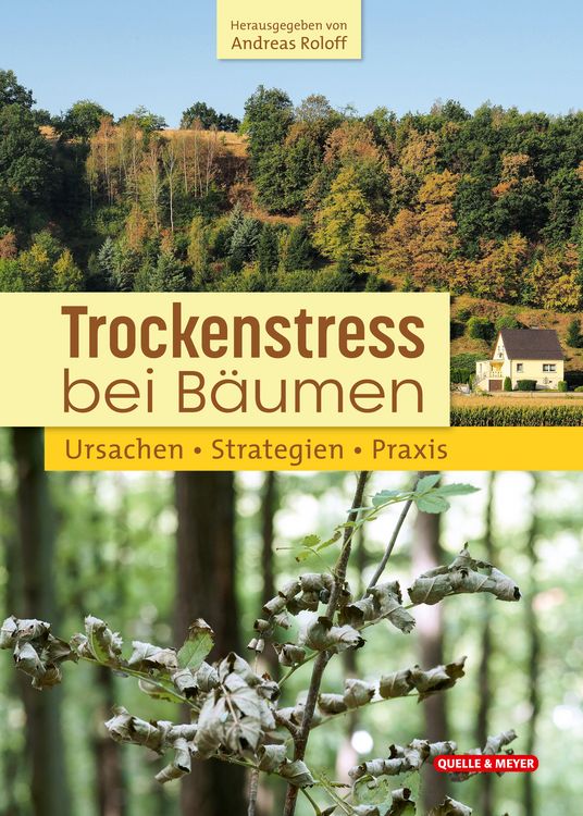 Produktbild: Trockenstress bei B&auml;umen