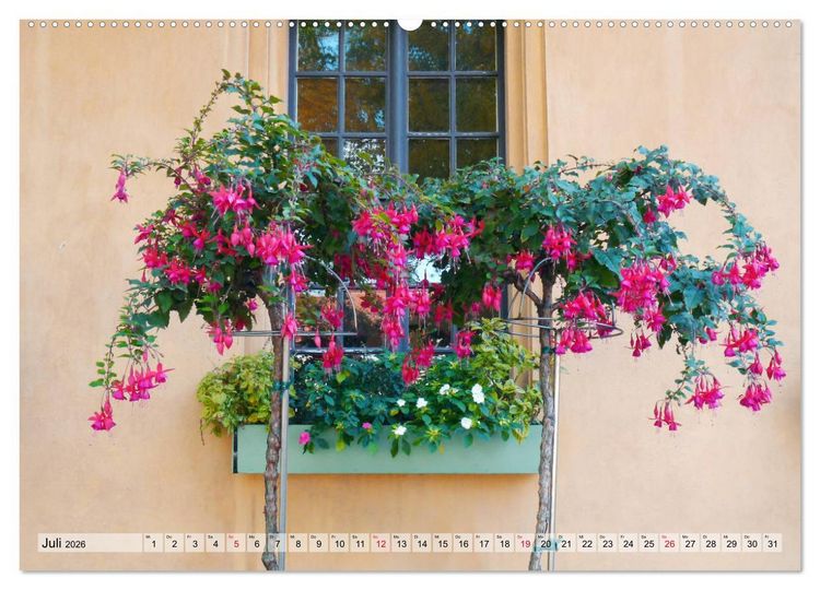 Produktbild: Es bl&uuml;ht im Sommer (Wandkalender 2026 DIN A2 quer), CALVENDO Monatskalender