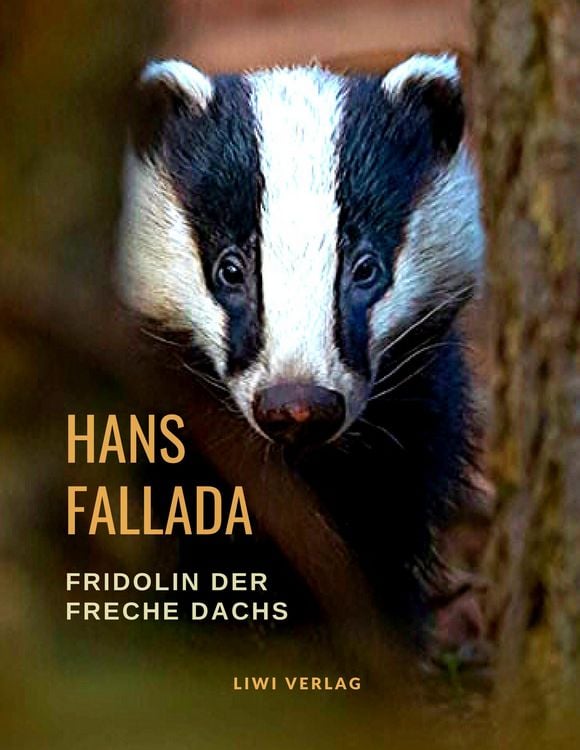 Produktbild: Fridolin der freche Dachs