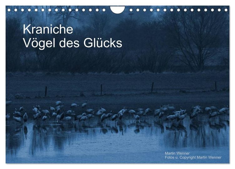 Produktbild: Kraniche (Wandkalender 2026 DIN A4 quer), CALVENDO Monatskalender