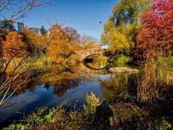 Produktbild: CALVENDO Puzzle Central Park | 1000 Teile Lege-Gr&ouml;&szlig;e 64 &times; 48 cm Foto-Puzzle f&uuml;r gl&uuml;ckliche Stunden