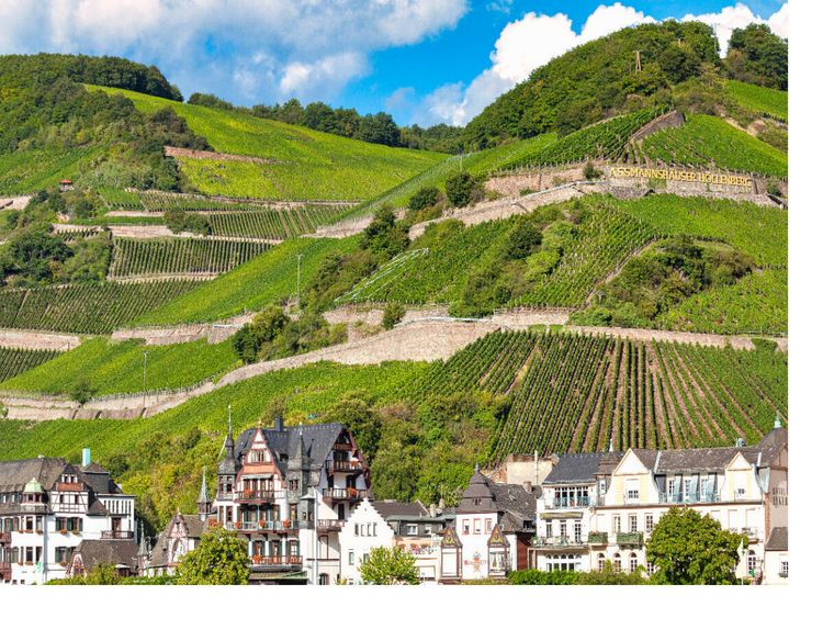 Produktbild: CALVENDO Puzzle Assmannsh&auml;user H&ouml;llenberg im Rheingau | 1000 Teile Lege-Gr&ouml;&szlig;e 64x48cm Foto-Puzzle f&uuml;r gl&uuml;ckliche Stunden