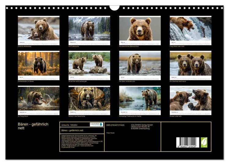 Produktbild: B&auml;ren - gef&auml;hrlich nett (Wandkalender 2026 DIN A3 quer), CALVENDO Monatskalender
