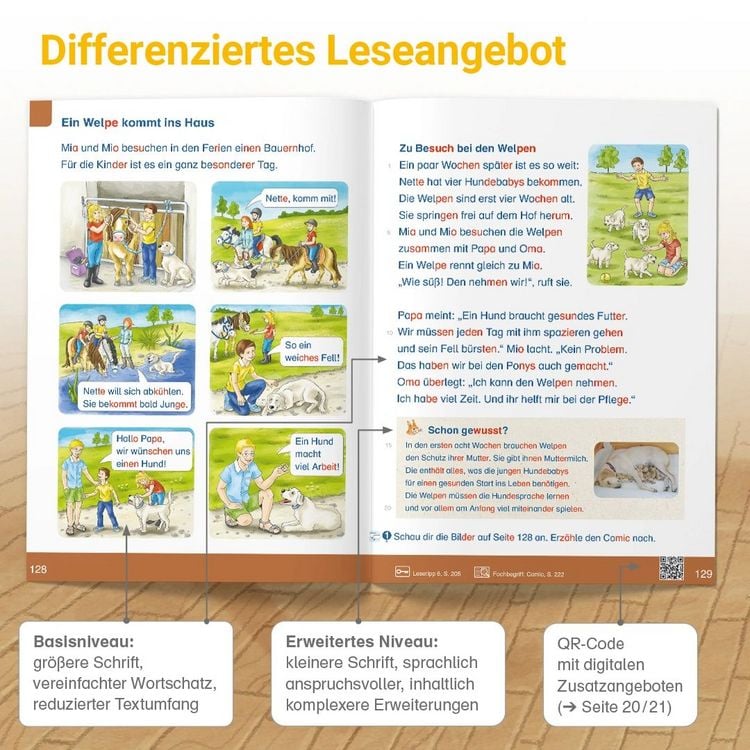 Produktbild: ABC der Tiere 2 Neubearbeitung &ndash; Lesebuch
