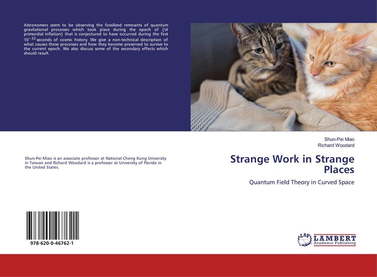 Produktbild: Strange Work in Strange Places
