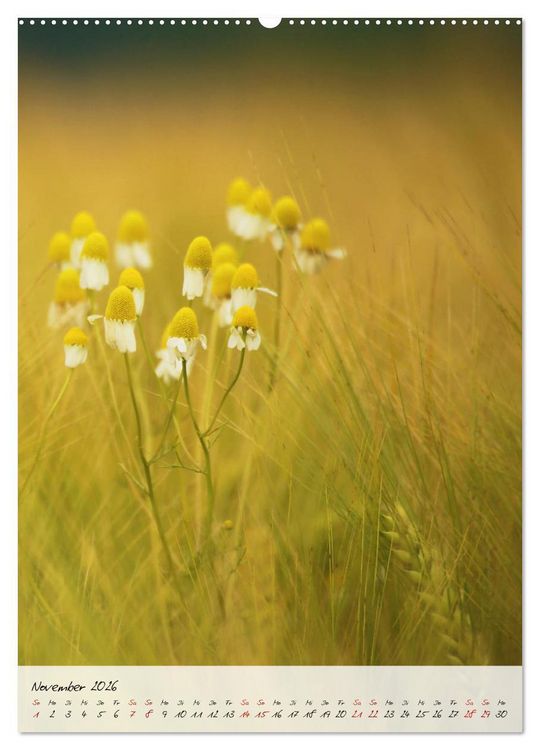 Produktbild: Florale Meisterwerke der Natur (hochwertiger Premium Wandkalender 2026 DIN A2 hoch), Kunstdruck in Hochglanz