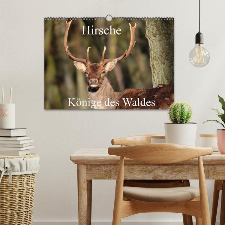 Produktbild: Hirsche - K&ouml;nige des Waldes/Geburtstagskalender (Wandkalender 2026 DIN A3 quer), CALVENDO Monatskalender