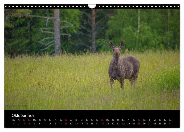 Produktbild: Naturwucht Skandinavien (Wandkalender 2026 DIN A3 quer), CALVENDO Monatskalender