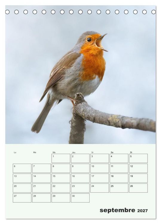 Produktbild: Voyage ornithologique (Calendrier de bureau 2027 DIN A5 horizontal), CALVENDO calendrier mensuel