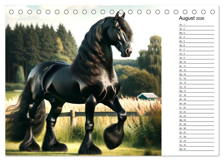 Produktbild: Kaltbl&uuml;ter - Die majest&auml;tische Kraft und Sch&ouml;nheit der Kaltblutpferde (Tischkalender 2026 DIN A5 quer), CALVENDO Monatskalender