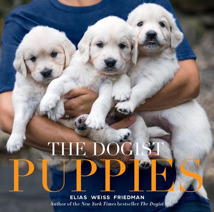 Produktbild: The Dogist Puppies