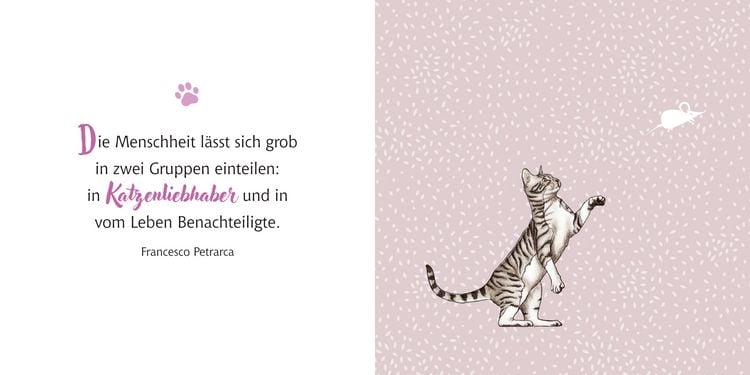 Produktbild: Katzen