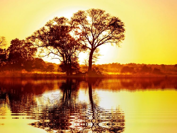 Produktbild: CALVENDO Puzzle Morgens in Afrika | 1000 Teile Lege-Gr&ouml;&szlig;e 64x48cm Foto-Puzzle f&uuml;r gl&uuml;ckliche Stunden