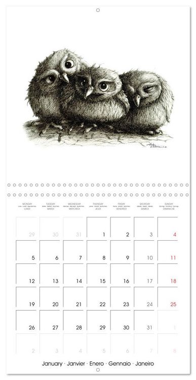 Produktbild: owls and mates 2026 (Wall Calendar 2026 12 &times; 12 Inch) CALVENDO 12 Month Wall Calendar