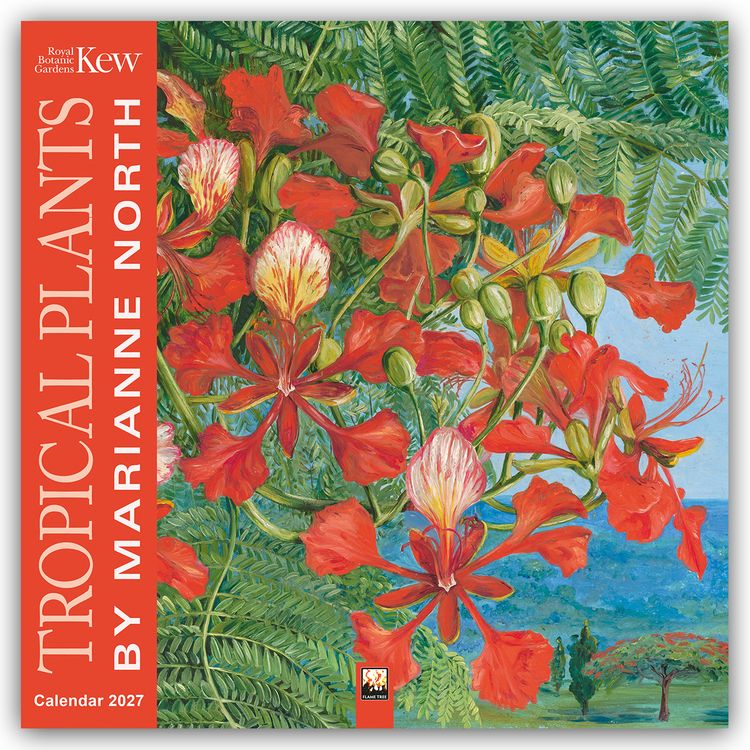 Produktbild: Marianne North, Tropical Plants &ndash; Tropische Pflanzen 2027 &ndash; Original Flame Tree Publishing-Kalender [Kalender]
