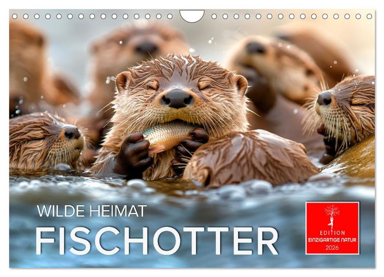 Produktbild: Wilde Heimat - Fischotter (Wandkalender 2026 DIN A4 quer), CALVENDO Monatskalender