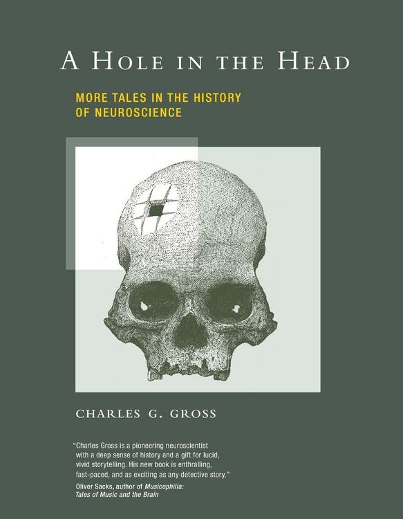 Produktbild: A Hole in the Head