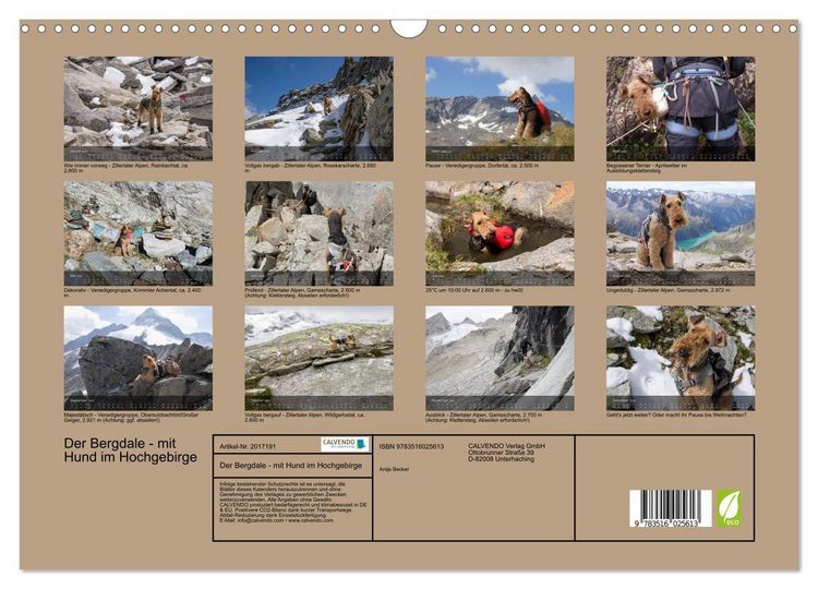 Produktbild: Der Bergdale - mit Hund im Hochgebirge (Wandkalender 2026 DIN A3 quer), CALVENDO Monatskalender