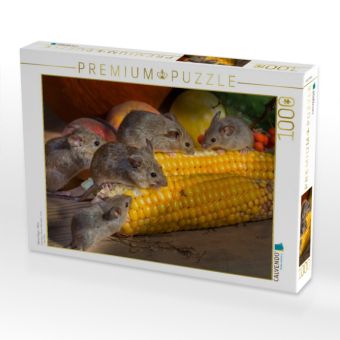 Produktbild: CALVENDO Puzzle Kleiner Nager - Maus | 1000 Teile Lege-Gr&ouml;&szlig;e 64x48cm Foto-Puzzle f&uuml;r gl&uuml;ckliche Stunden