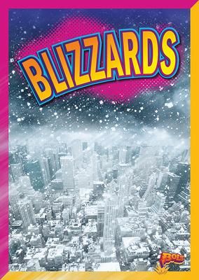 Produktbild: Blizzards