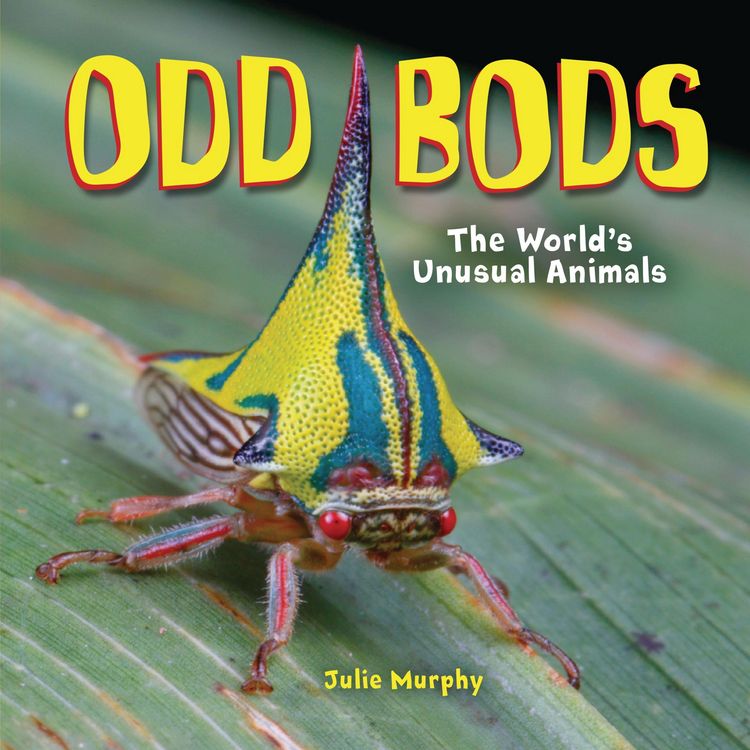 Produktbild: Odd Bods