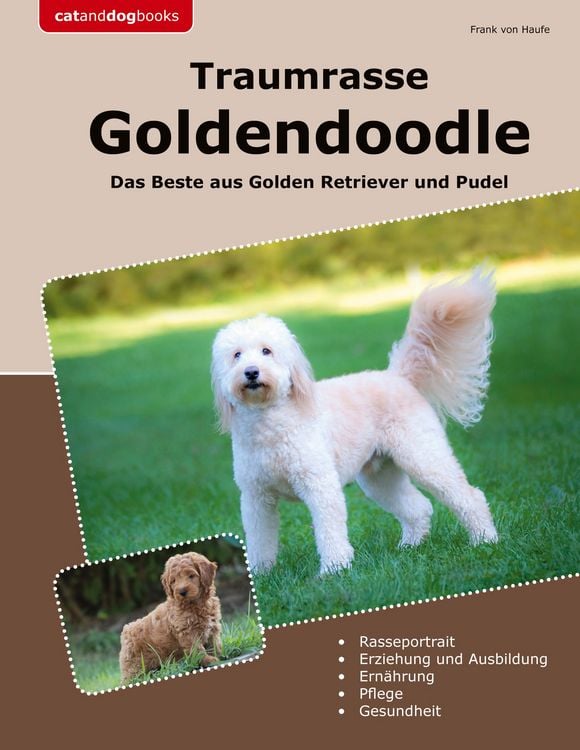 Produktbild: Traumrasse Goldendoodle