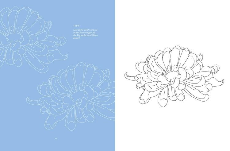 Produktbild: Flowers mit Lana: Ausmalen und entspannen mit Lanaarts23