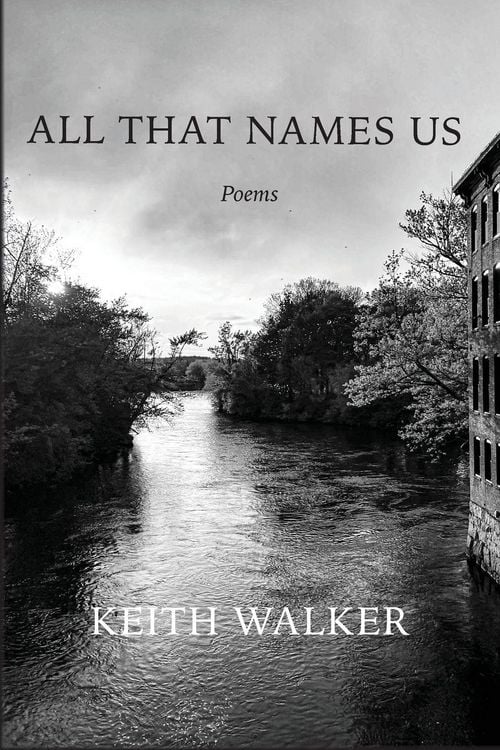 Produktbild: All That Names Us