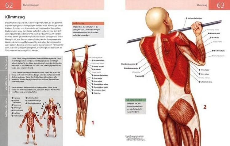 Produktbild: Die Anatomie von Stretching und Fitness