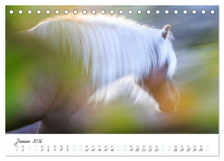 Produktbild: Pferde vom Wind verweht (Tischkalender 2026 DIN A5 quer), CALVENDO Monatskalender