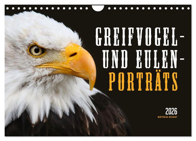 Produktbild: GREIFVOGEL- UND EULENPORTR&Auml;TS (Wandkalender 2026 DIN A4 quer), CALVENDO Monatskalender