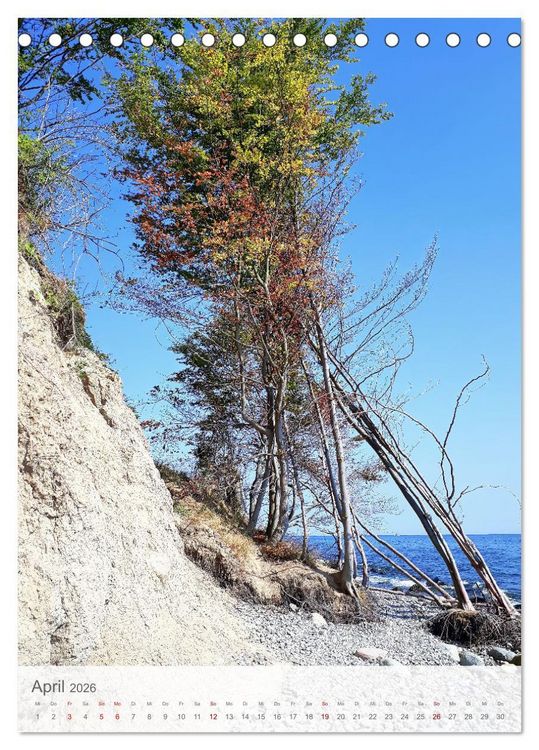 Produktbild: Im Nationalpark Jasmund - Naturwunder auf der Ostseeinsel R&uuml;gen (Tischkalender 2026 DIN A5 hoch), CALVENDO Monatskalender