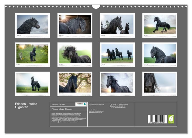 Produktbild: Friesen - stolze Giganten (Wandkalender 2026 DIN A3 quer), CALVENDO Monatskalender