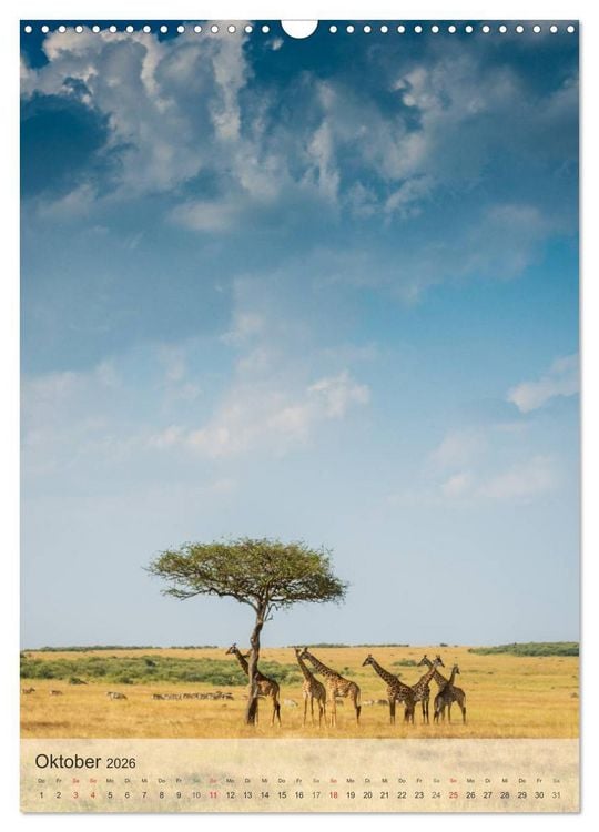 Produktbild: Emotionale Momente: Giraffen, die h&ouml;chsten Tiere der Welt. (Wandkalender 2026 DIN A3 hoch), CALVENDO Monatskalender