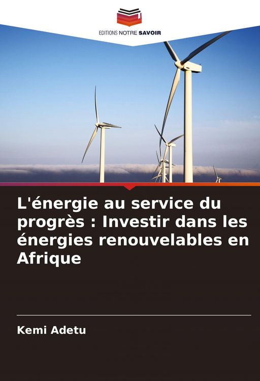 Produktbild: L'&eacute;nergie au service du progr&egrave;s : Investir dans les &eacute;nergies renouvelables en Afrique