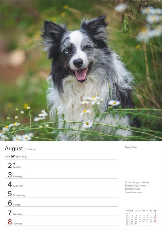 Produktbild: Hunde Wochenplaner 2027 - 53 faszinierende Fotografien