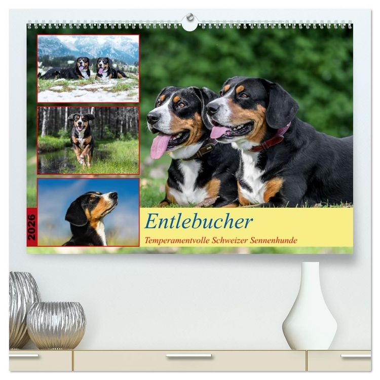 Produktbild: Entlebucher - Temperamentvolle Schweizer Sennenhunde (hochwertiger Premium Wandkalender 2026 DIN A2 quer), Kunstdruck in Hochglanz