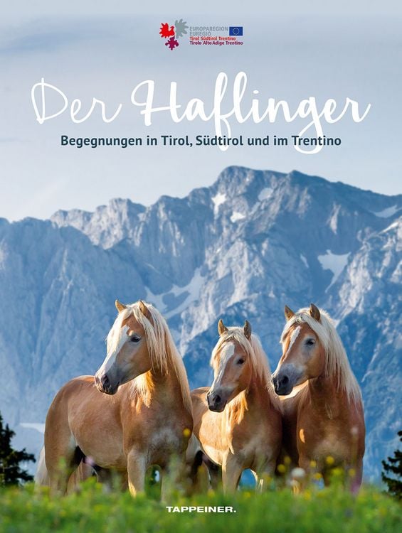 Produktbild: Der Haflinger
